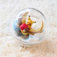 リーメント　ポケモン　テラリウムコレクション5☆ピカチュウとピジョン