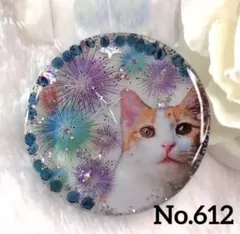 ハンドメイドレジンヘアゴム・ブローチ・ネックレス・ホルダーNo.612