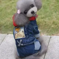 デニムつなぎ風ロンパース