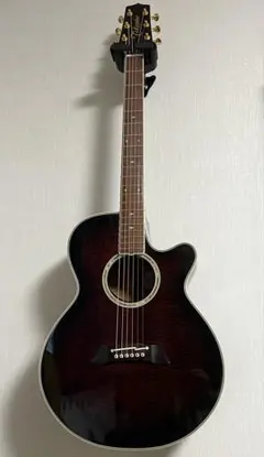 【長渕剛・赤プリ・超美品】Takamine タカミネ NPT-110 エレアコ