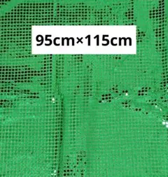 Item thumbnail for item 7834af5c-469c-4319-bb2c-bb79f84180d6