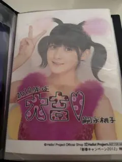 嗣永桃子バースデーイベント2015 DVD カントリーガールズ ももち 美品
