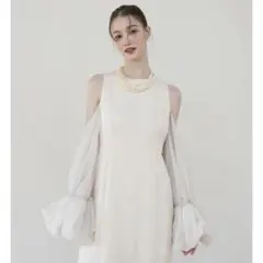 【るり】Acka sheer melt sleeve dress 2026年最新】sheer melt sleeve dressの人気アイテム - メルカリ