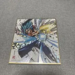 2026年最新】ドラゴンボール 色紙 ベジットの人気アイテム - メルカリ