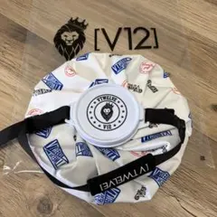 新品未使用　V12 氷嚢のサムネイル