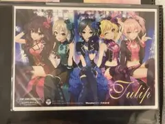 Lipps 購入特典ブロマイド　WonderGOO ワングー　TULIP