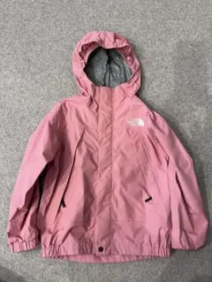 ザノースフェイス 100