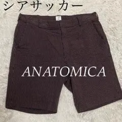 ANATOMICA【シアサッカー】 ブラウン ブラック ストライプ ハーフパンツのサムネイル