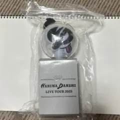 なにわ男子 1st ドーム VoyAGE うちわ 2026 高橋恭平 ペンライト
