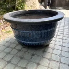 植木鉢 3Dプリンター鉢 8号サイズ 浅鉢寄り 白い麻紐付き 塊根 多肉 