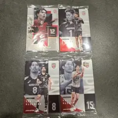 バレーボール ウエハース JAPAN NATIONAL