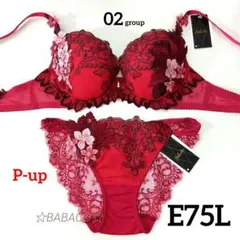 専用【新品】ワコール E75/L 2セット 楽天市場】サルート e75 l－upの通販