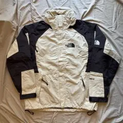 Gore-Tex the north face マウンテンパーカー