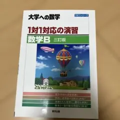 huna様 リクエスト 2点 まとめ商品