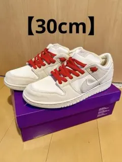 【30cm】NIKE SB ダンクロー city of love