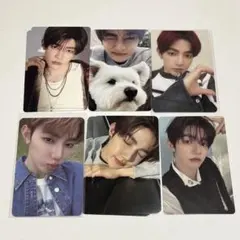 ジャンハオ レオ トレカセット