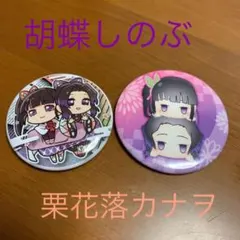 鬼滅の刃 缶バッジ  胡蝶しのぶ 栗花落カナヲ セット