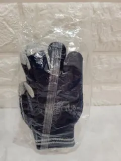 ダービーオーナーズクラブグッズ手袋