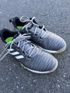 adidas ゴルフシューズ グレー