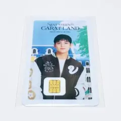 SEVENTEEN NAMANEカード ミンギュ