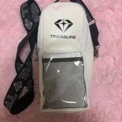 treasure ペンライトケース