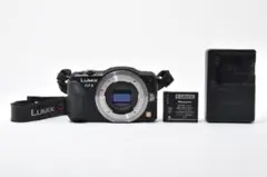 2025年最新】GF5 lumixの人気アイテム - メルカリ