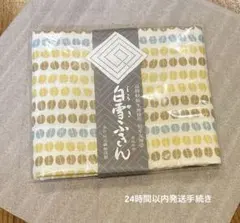 Item thumbnail for item 9e2aed51-5e88-406a-9867-6256614f830e