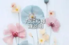 たはら様 確認用ページ