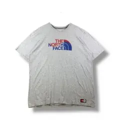 THE NORTH FACE　バイカラーロゴTシャツ　サイズXL