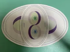 中古品ENOREQON　エノレコン　FALF 波動　足立育朗9枚セット 2026年最新】エノレコンの人気アイテム - メルカリ