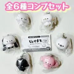 コンプ　じょせまる めじるしアクセサリー　全6種セット