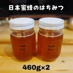 日本蜜蜂のはちみつ　純粋　ハチミツ　蜂蜜　百花蜜　ニホンミツバチ　国産　非加熱