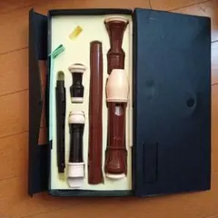 Item thumbnail for item 6c7521c8-16ec-498b-81a3-fec15828647c