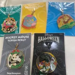 ディズニー　チャーム　2005 5個セット