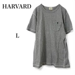 【ハーバード】 トップス Tシャツ カットソー 半袖 胸ポケット 綿100% L