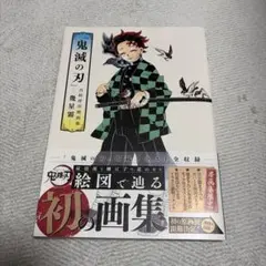 アニメ「鬼滅の刃」イラスト記録集 壱 吾峠呼世晴画集 幾星霜 - メルカリ