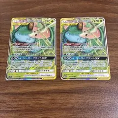 フシギバナアンドツタージャGX RR
