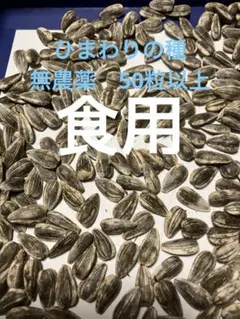 user_d1d84203様 リクエスト 2点 まとめ商品