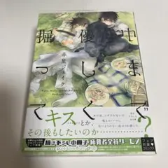 中まで優しく掘って 赤星ジェイク ボーイズラブ 漫画