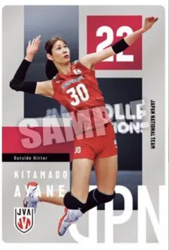バレーボール女子日本代表ツインウエハース 北窓絢音 カードのみ