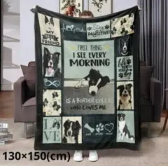 ボーダーコリー 犬柄 ブランケット 130×150(cm) 新品