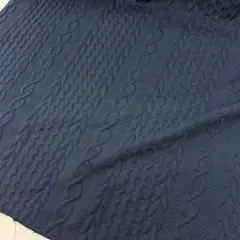 ロービングＪＱニット　ネイビー　１m
