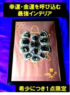 【金運・幸運・風水】亀甲羅 アート 長寿　繁栄 額装インテリア　幸運　金運