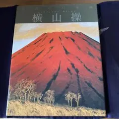 2026年最新】横山操の人気アイテム - メルカリ