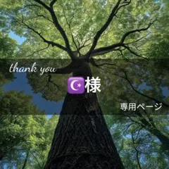 ぷぅ✩.*˚プロフ確認お願いします♪︎様専用ページ(9月11日までお取