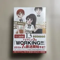 【新品未開封】Working!! 13 初回限定特装版