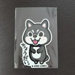 ビーサイドレーベル 柴犬 ステッカー(ちょうだい)