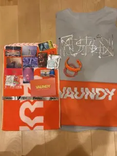 Vaundy グッズセット　まとめ売りのサムネイル