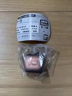 仮面ライダーシリーズめじるしアクセサリー5