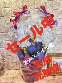 光触媒 人工観葉植物 ウォールグリーン クィーン胡蝶蘭5本w/ab高さ74